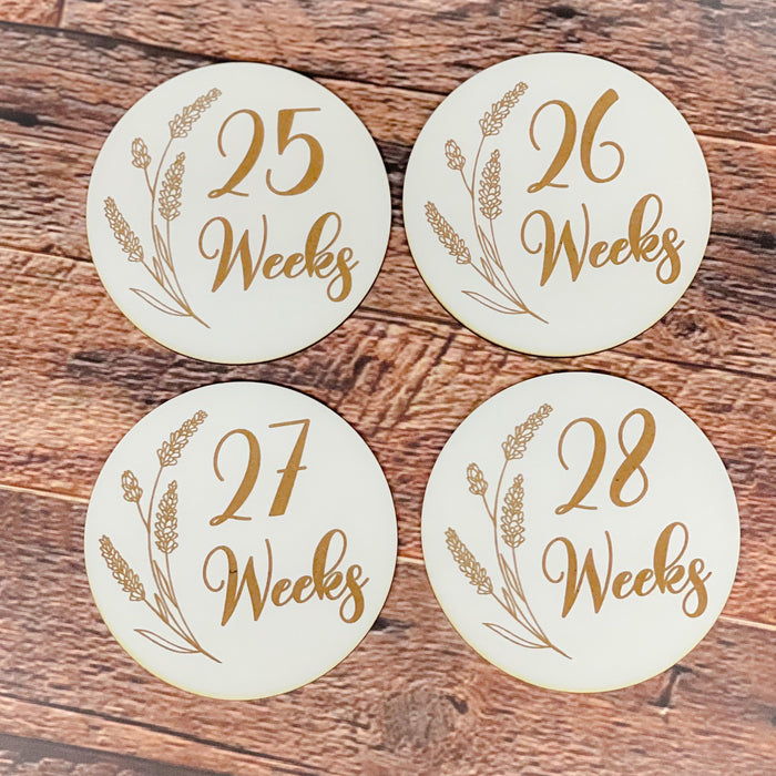 Pregnancy Milestone Discs - Engraved Grass