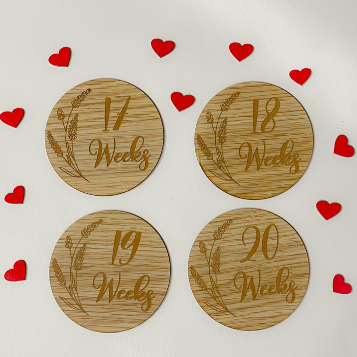 Pregnancy Milestone Discs - Engraved Grass