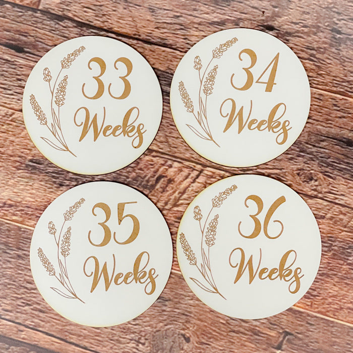 Pregnancy Milestone Discs - Engraved Grass