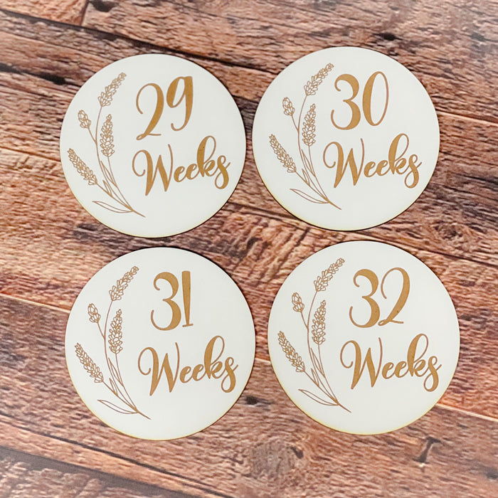 Pregnancy Milestone Discs - Engraved Grass