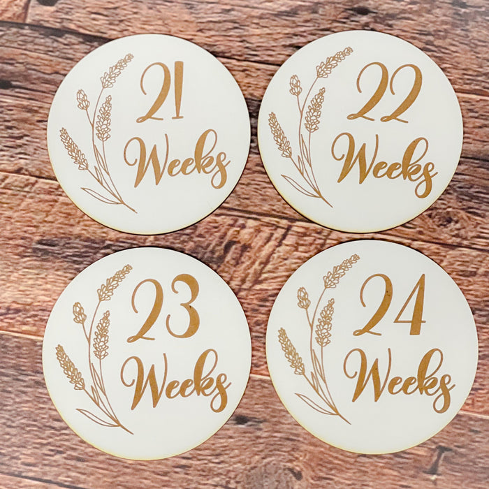 Pregnancy Milestone Discs - Engraved Grass