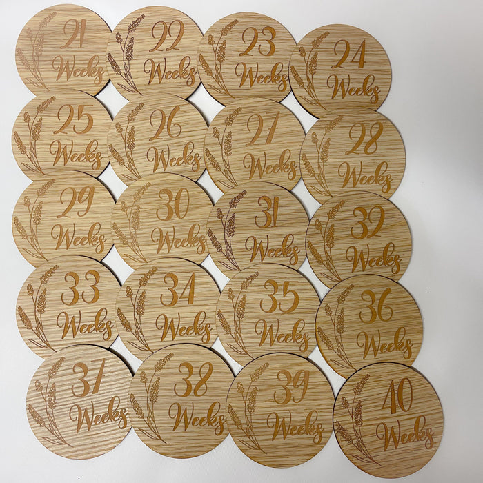 Pregnancy Milestone Discs - Engraved Grass