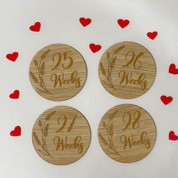 Pregnancy Milestone Discs - Engraved Grass