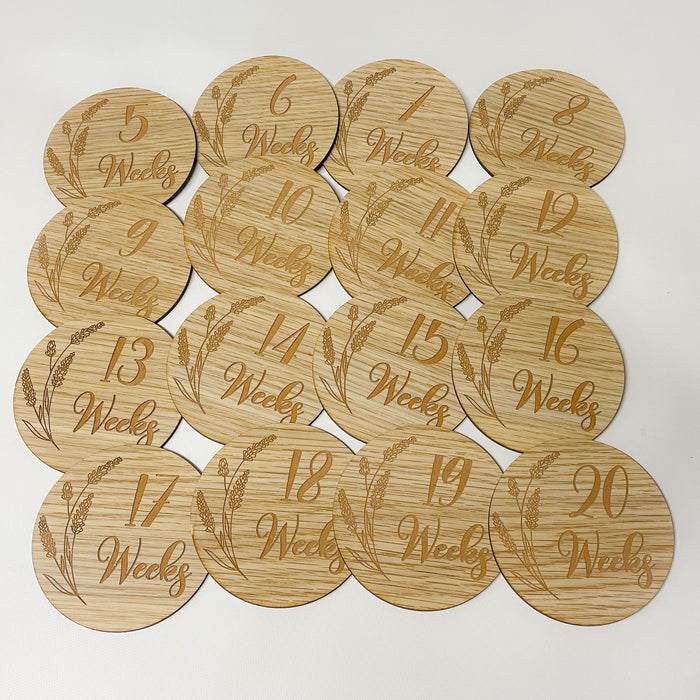 Pregnancy Milestone Discs - Engraved Grass