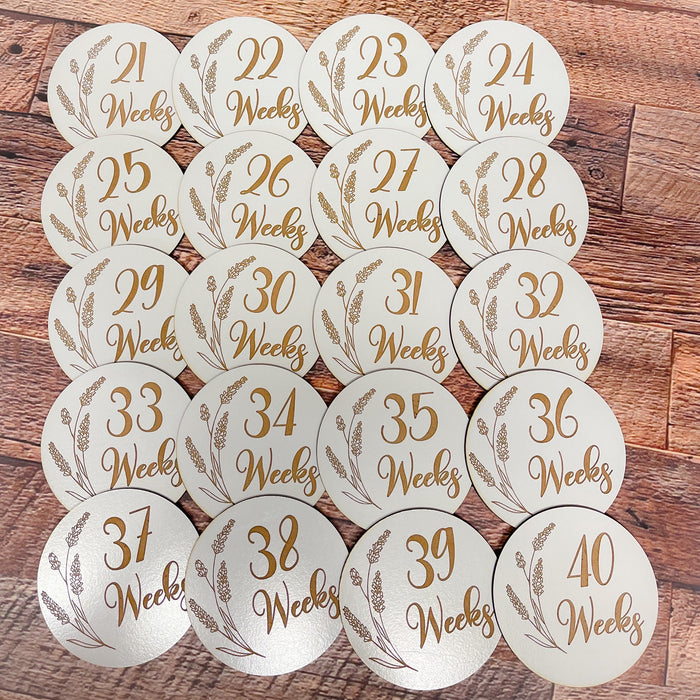 Pregnancy Milestone Discs - Engraved Grass