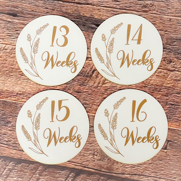 Pregnancy Milestone Discs - Engraved Grass