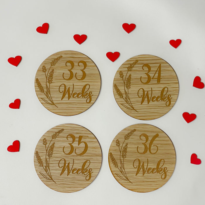 Pregnancy Milestone Discs - Engraved Grass