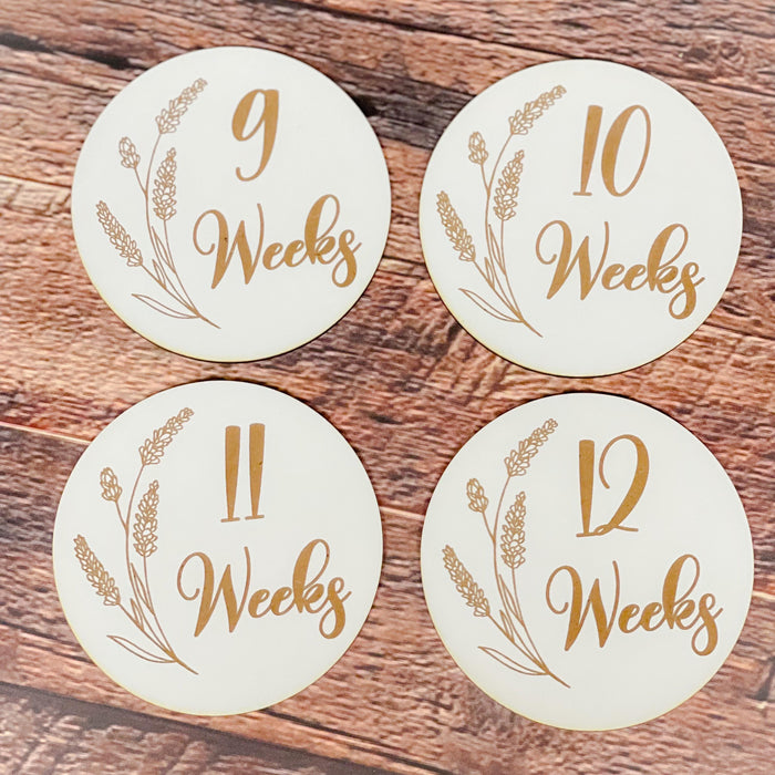 Pregnancy Milestone Discs - Engraved Grass