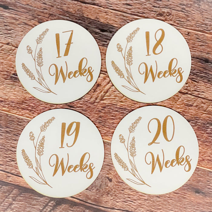 Pregnancy Milestone Discs - Engraved Grass