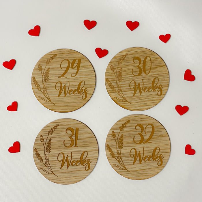 Pregnancy Milestone Discs - Engraved Grass