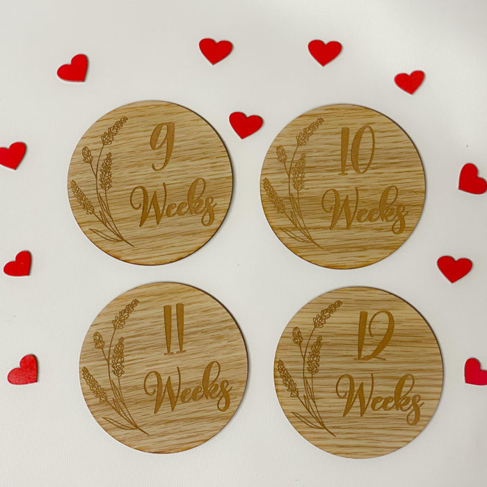 Pregnancy Milestone Discs - Engraved Grass