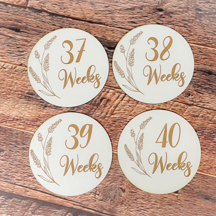 Pregnancy Milestone Discs - Engraved Grass