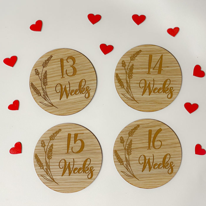 Pregnancy Milestone Discs - Engraved Grass
