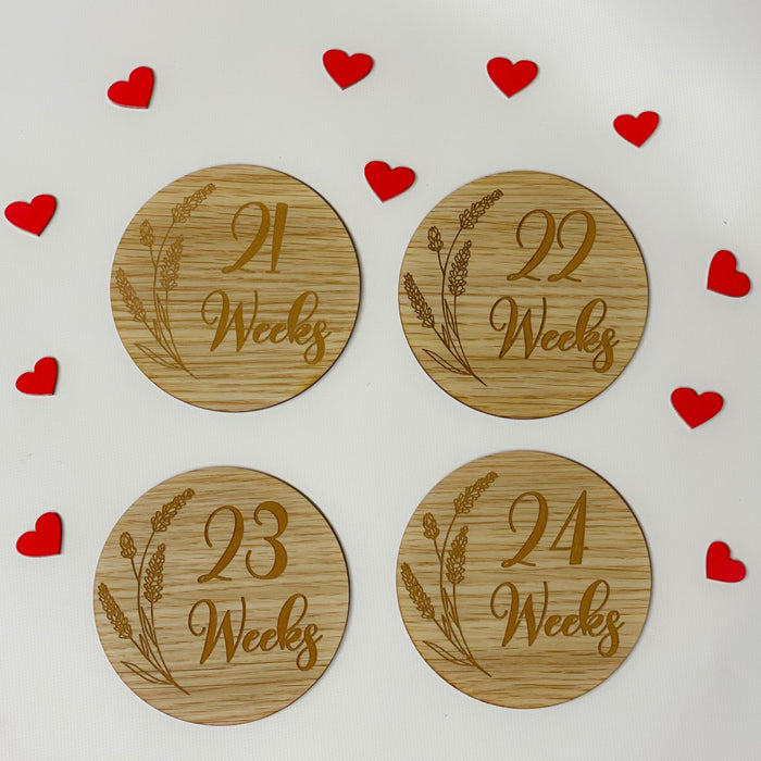 Pregnancy Milestone Discs - Engraved Grass