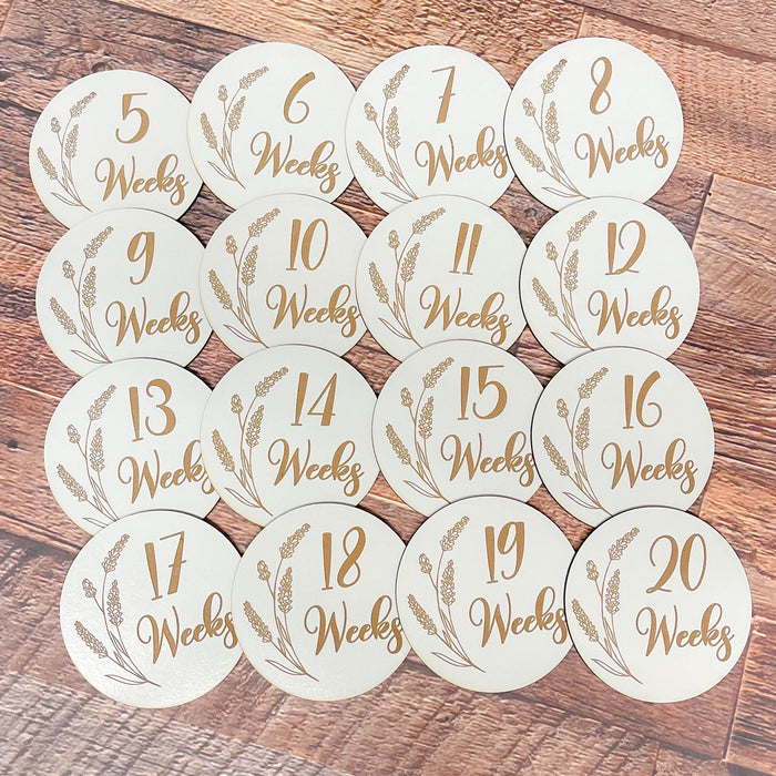 Pregnancy Milestone Discs - Engraved Grass