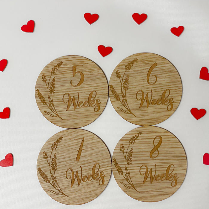 Pregnancy Milestone Discs - Engraved Grass