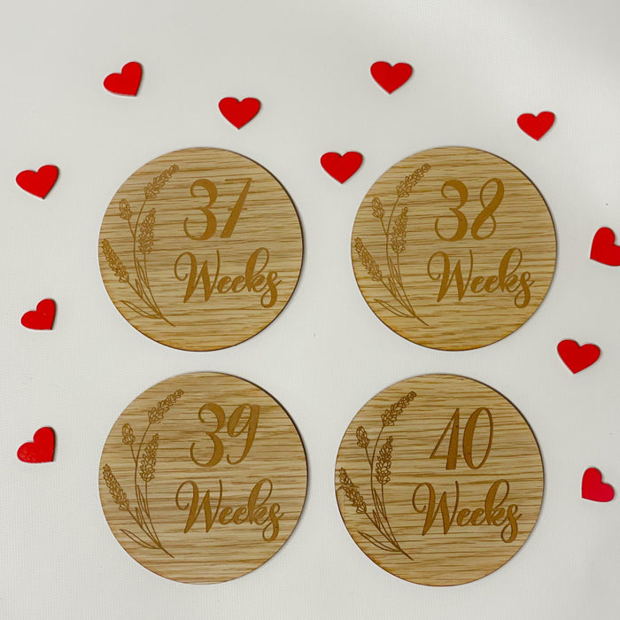 Pregnancy Milestone Discs - Engraved Grass