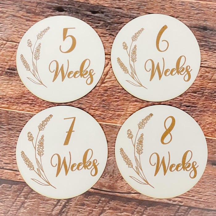 Pregnancy Milestone Discs - Engraved Grass
