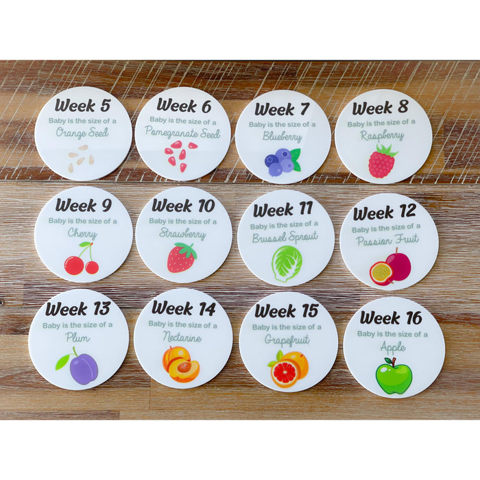 Pregnancy Milestone Discs - Baby Size
