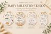 baby milestone disks birth markers