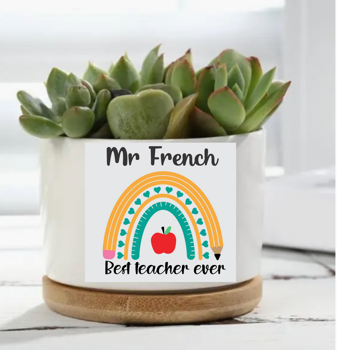 Cermic Plant Holder