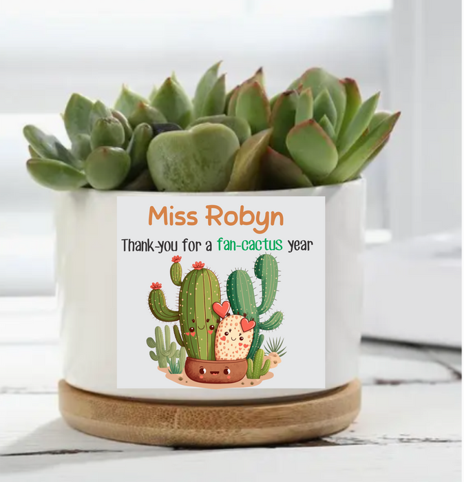 Cermic Plant Holder