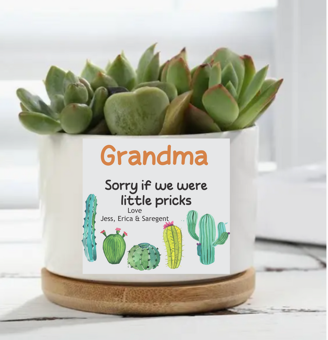 Cermic Plant Holder