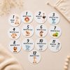 Monthly baby milestone discs featuring animal illustrations for first year milestone photos