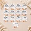 Monthly baby milestone discs featuring animal illustrations for first year milestone photos